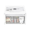 Apexgaming GTR-850MW 850Watt 80 PLUS Gold Fully Modular Power Supply
