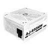 Apexgaming AJ-850MW 850Watt 80 PLUS Gold Fully Modular Power Supply
