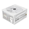 Apexgaming GTR-750MW 750Watt 80 PLUS Gold Fully Modular Power Supply